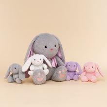 Ladda upp bild till gallerivisning, Rabbit Mommy with 4 Babies Plush Stuffed Animal