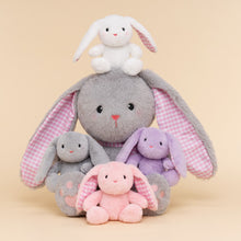 Afbeelding in Gallery-weergave laden, Rabbit Mommy with 4 Babies Plush Stuffed Animal