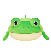 Load image into Gallery viewer, Ball Shaped Frog Children&#39;s Toy Storage Bean Bag Chair Cover