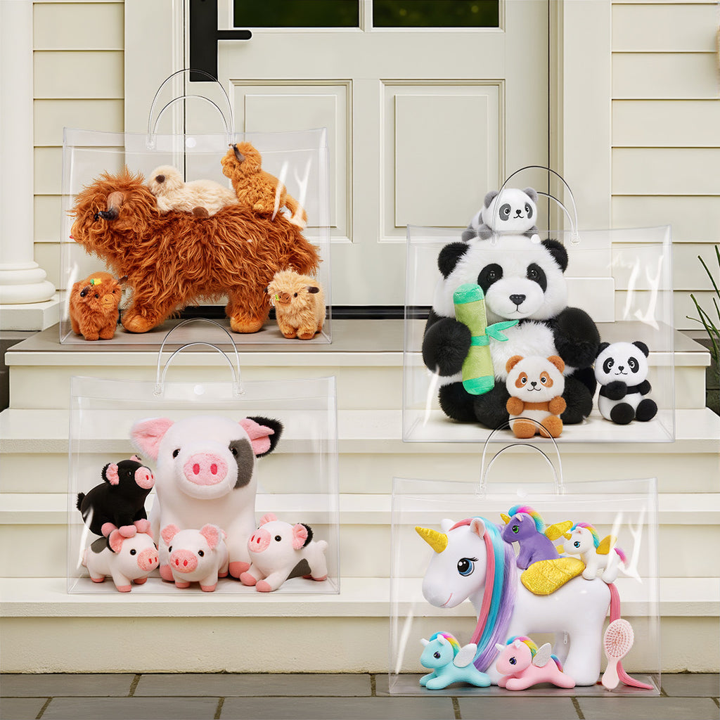 Clear Gift Bag
