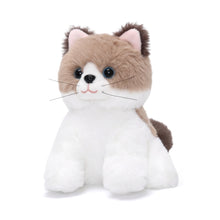 Cargar imagen en el visor de la galería, Dress Up Kitten Playset