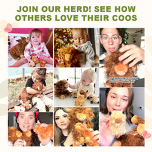 Afbeelding in Gallery-weergave laden, Scottish Highland Cow Cattle Stuffed Animal with 4 Babies Inside