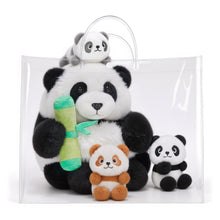 Cargar imagen en el visor de la galería, Clear Gift Bag
