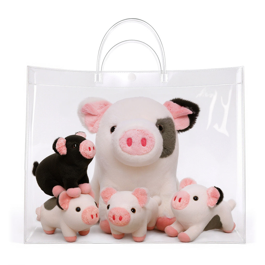 Clear Gift Bag