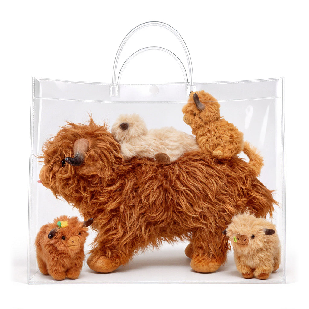 Clear Gift Bag